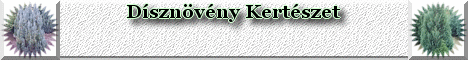 D�szn�v�ny banner - D�szn�v�nyek - D�szfa, d�szbokor, d�szcserje